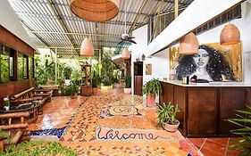 Cabinas Jacaranda